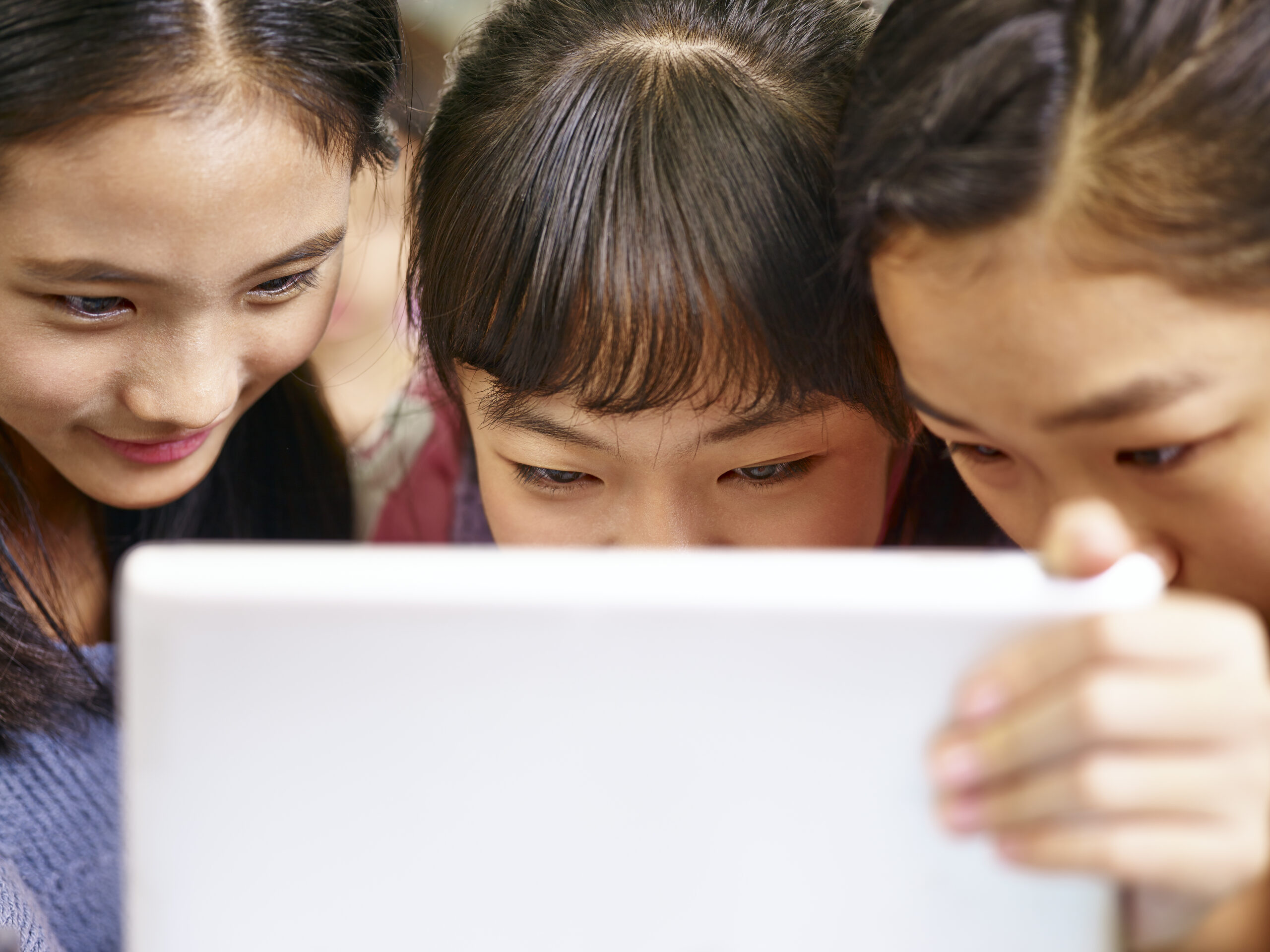 closeup of three elementary schoolgirls looking at tablet computer.